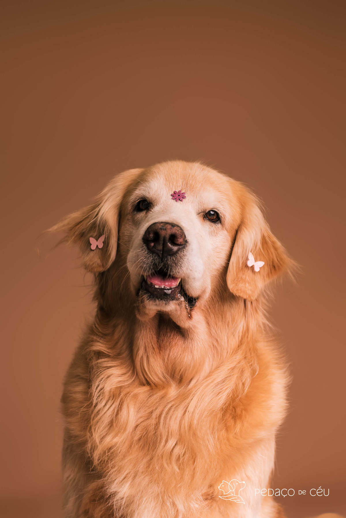 Cacau e Nira - Colors - Barra da Tijuca/Rio de Janeiro 
