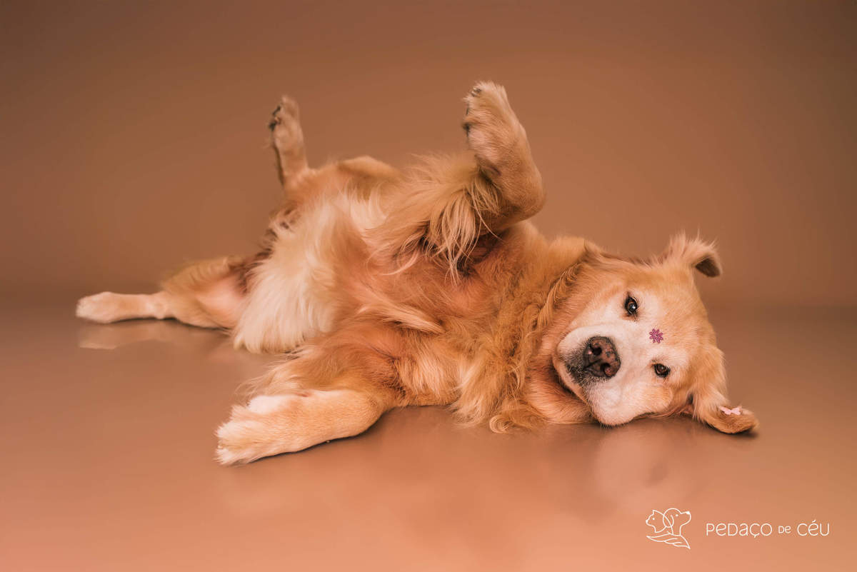 Cacau e Nira - Colors - Barra da Tijuca/Rio de Janeiro 
