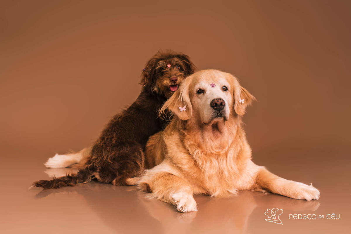 Cacau e Nira - Colors - Barra da Tijuca/Rio de Janeiro 
