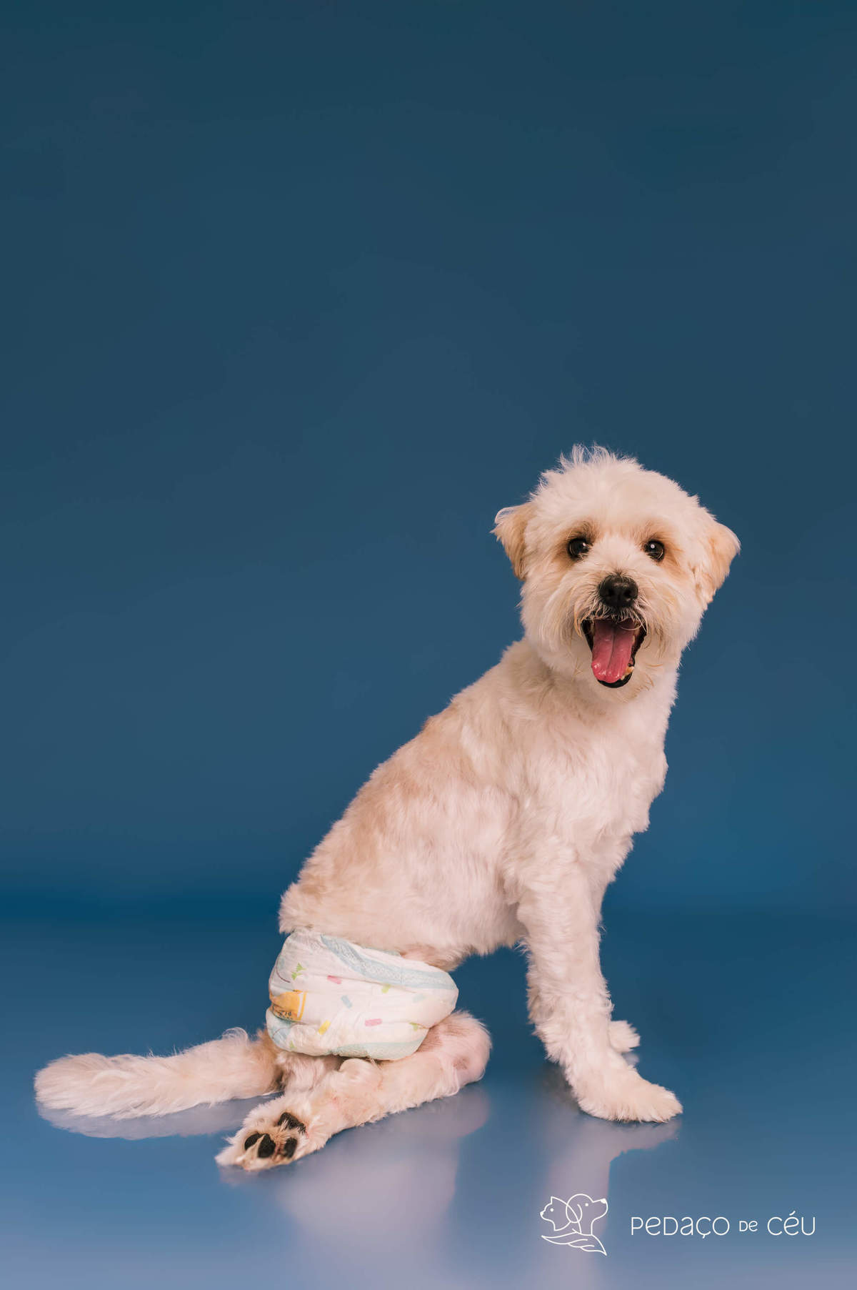 Valentin - Colors - Barra da Tijuca/Rio de Janeiro 