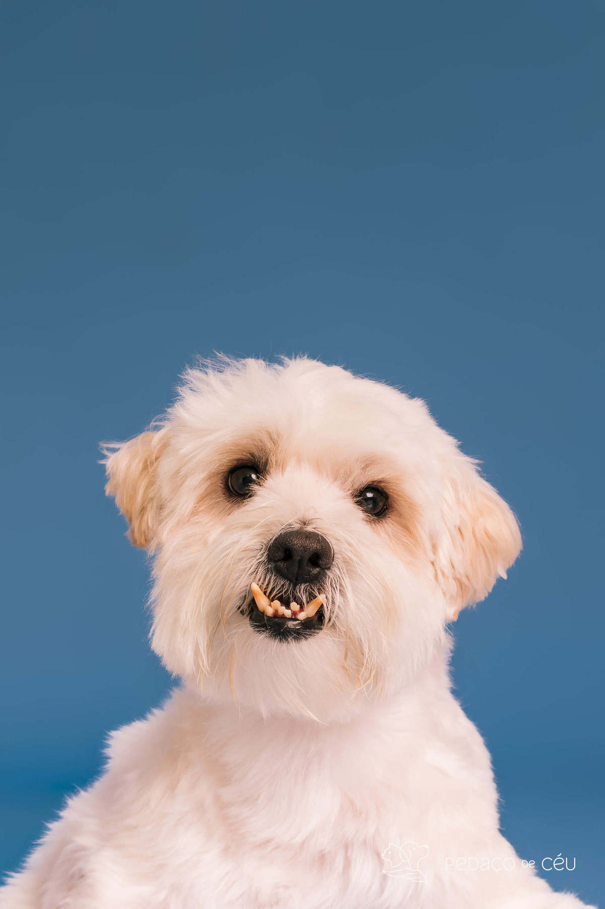 Valentin - Colors - Barra da Tijuca/Rio de Janeiro 