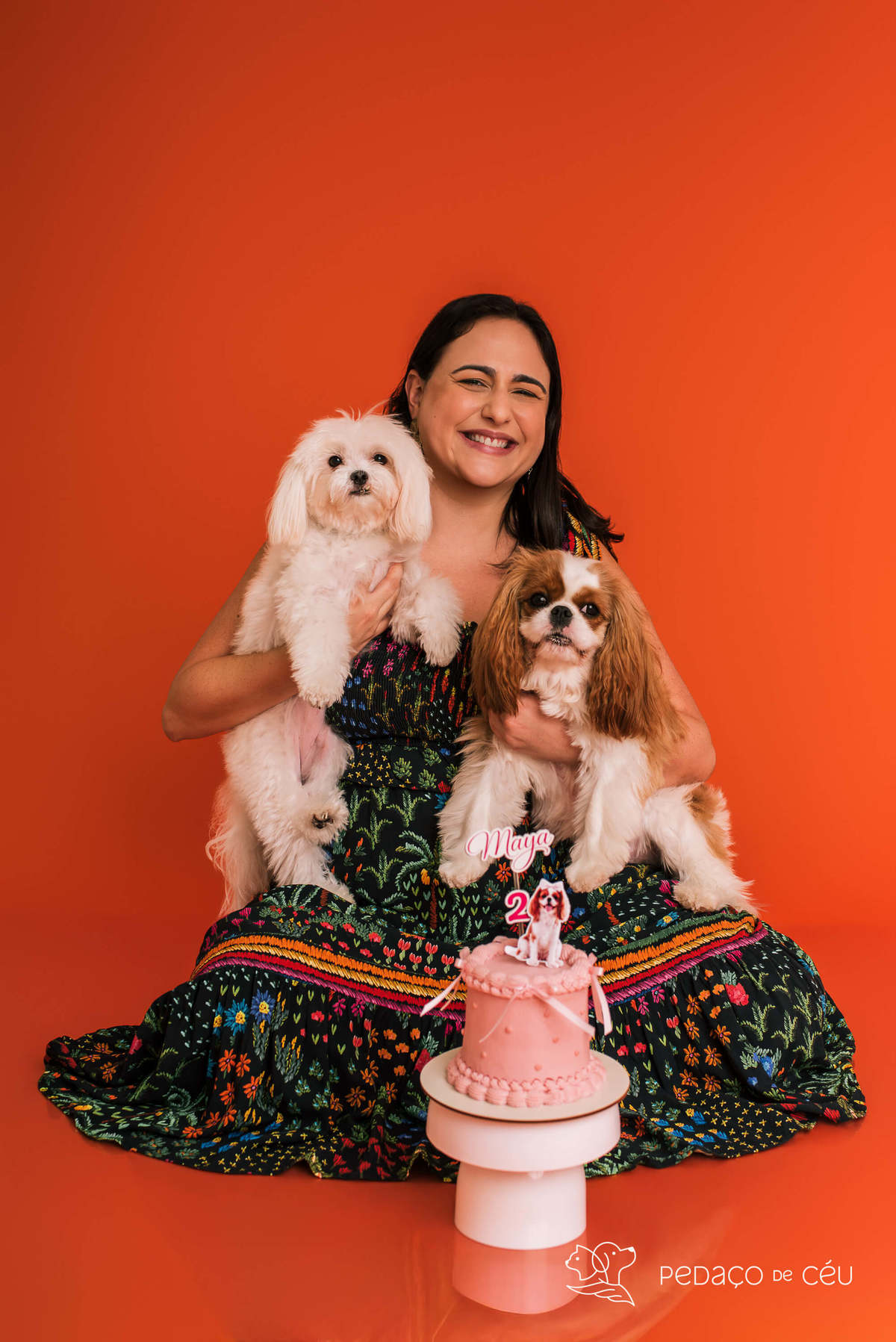 Smash the cake - shitzu - Rio de Janeiro 