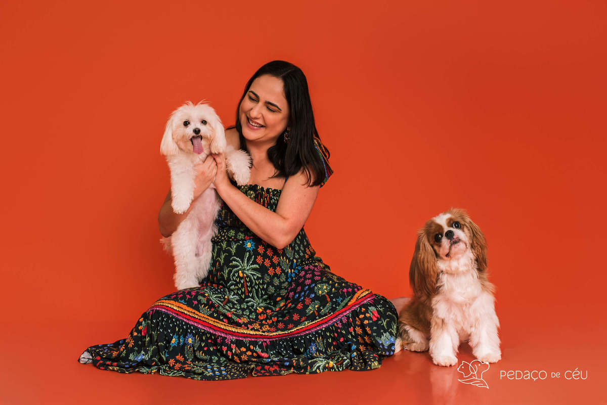 Smash the cake - shitzu - Rio de Janeiro 