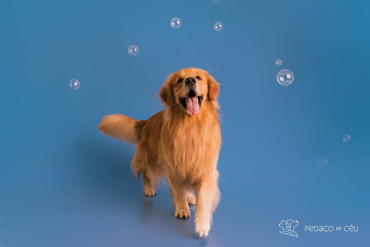 Jorge - Colors - 
Barra da Tijuca/Rio de Janeiro 