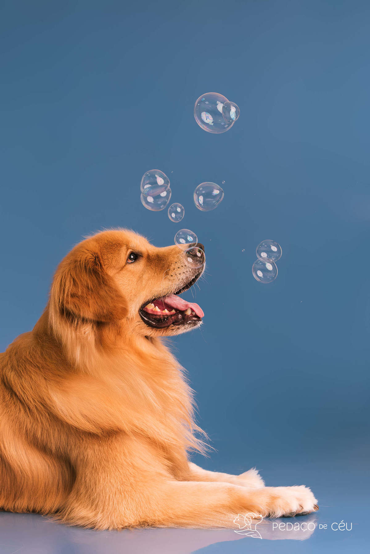 Jorge - Colors - 
Barra da Tijuca/Rio de Janeiro 