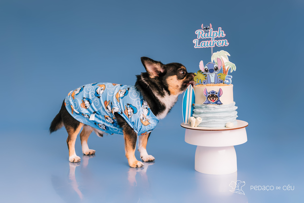 Ralph Loren - Smash the Cake - Barra da Tijuca/Rio de Janeiro 