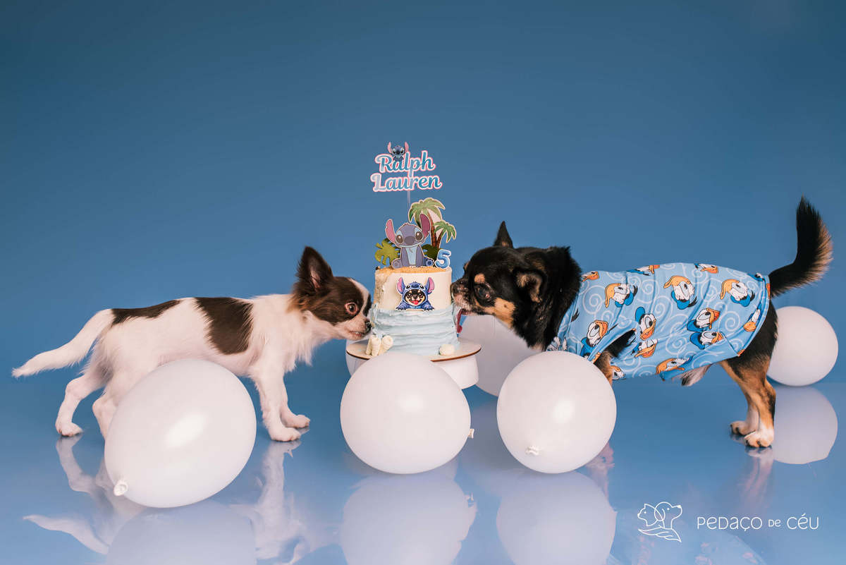 Ralph Loren - Smash the Cake - Barra da Tijuca/Rio de Janeiro 