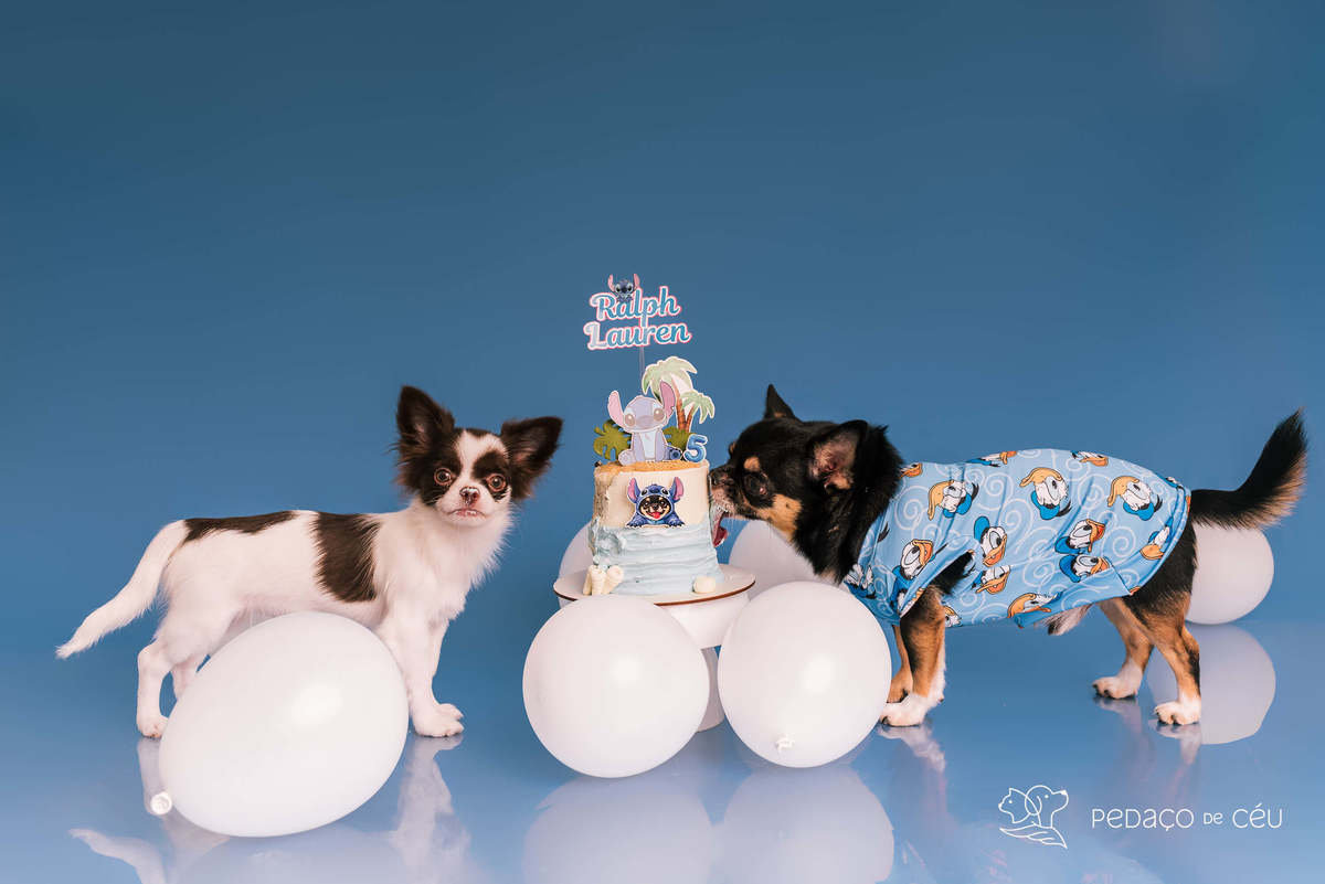 Ralph Loren - Smash the Cake - Barra da Tijuca/Rio de Janeiro 