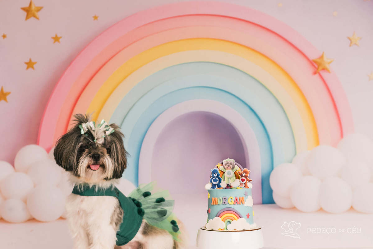 Cake Smash shihtzu rio de janeiro
