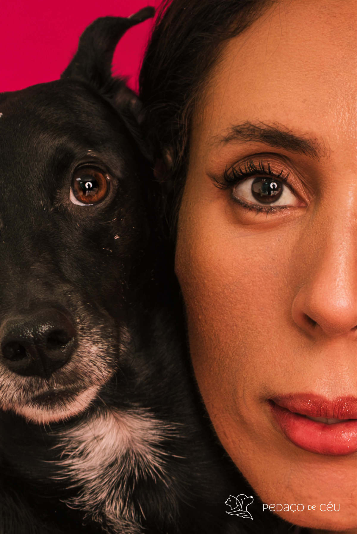 Ensaio pet rio de janeiro srd