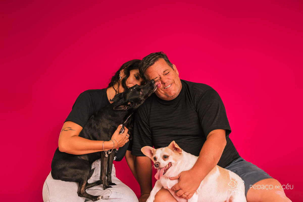 Ensaio pet rio de janeiro srd