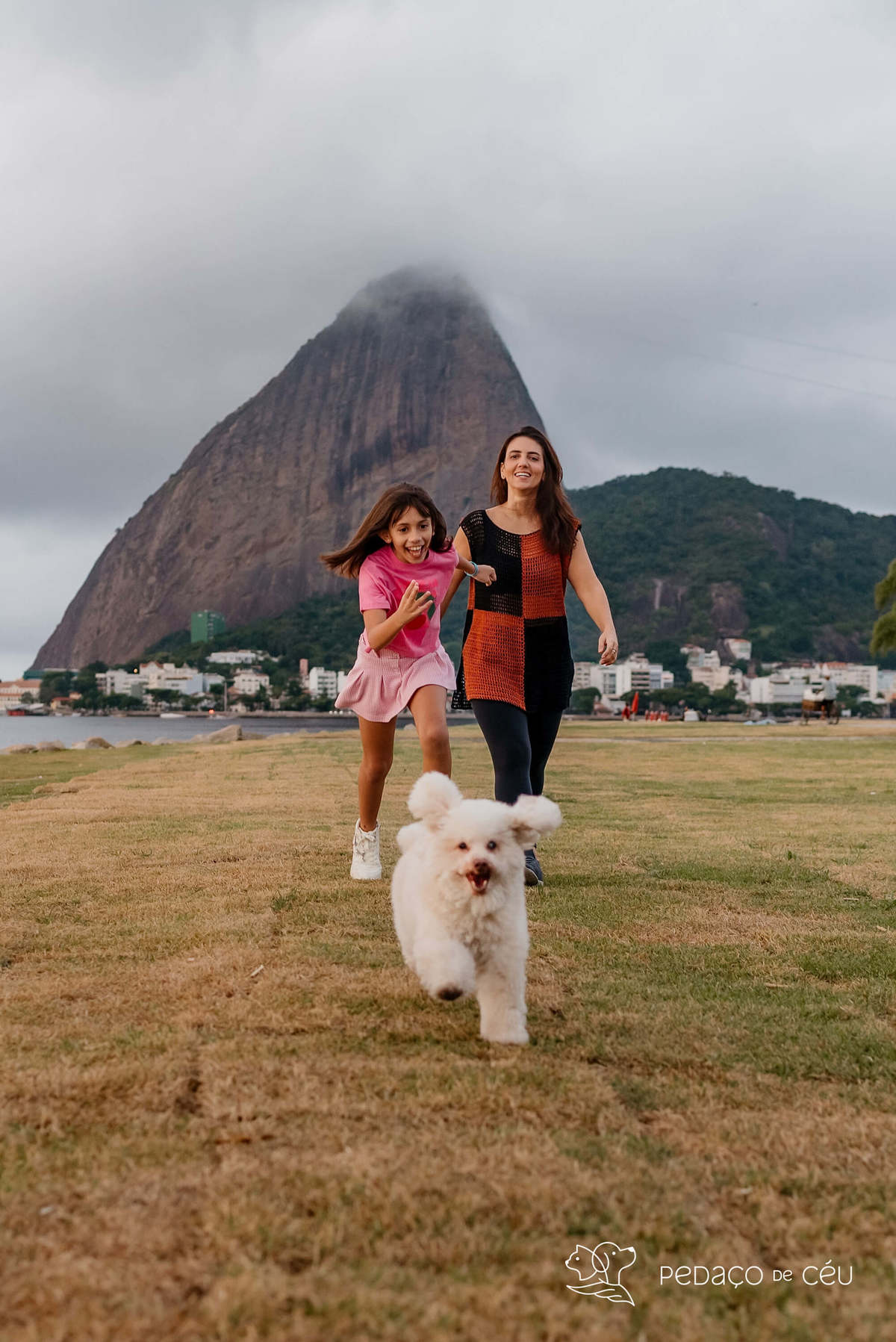 Bichon Frisé - ensaio externo - aterro do flamengo
