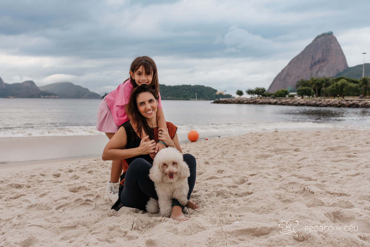 Bichon Frisé - ensaio externo - aterro do flamengo
