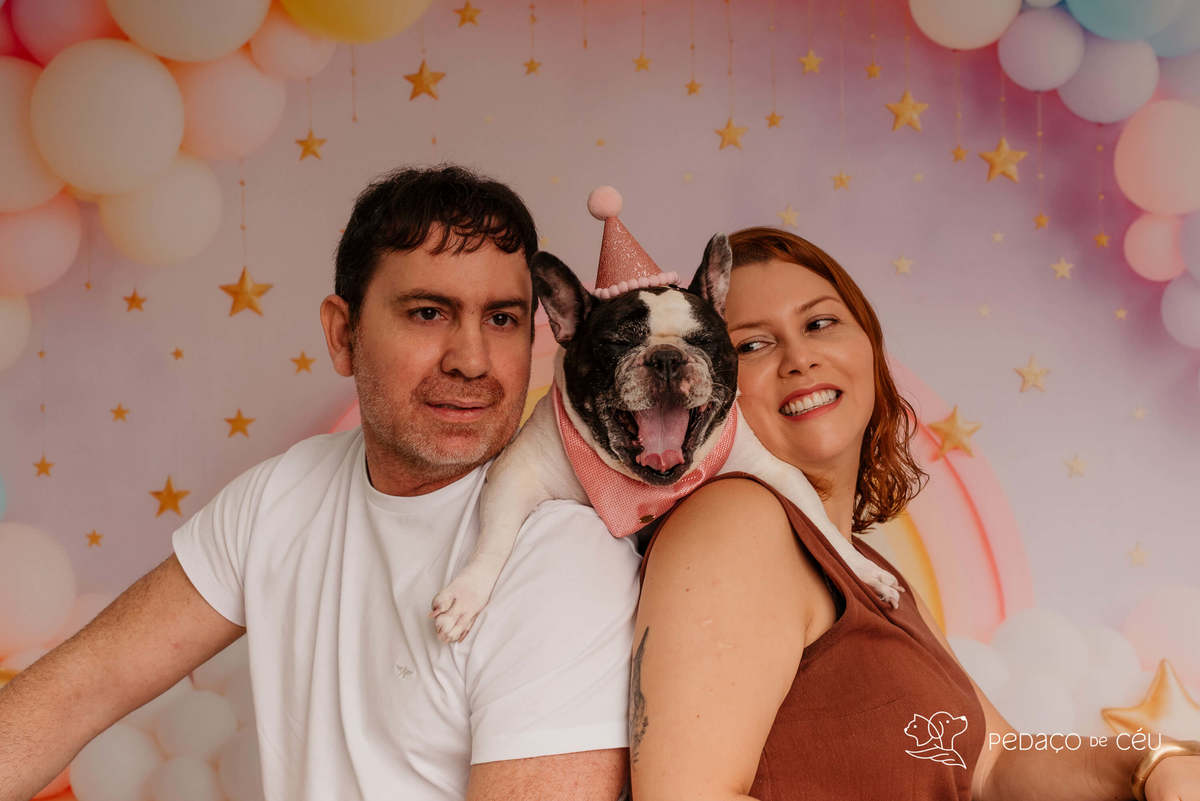  Bulldog Francês - Ensaio smash cake - Barra da tijuca
