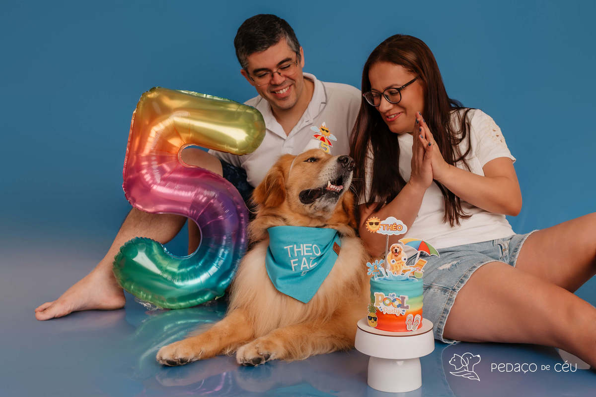 Smash the cake - Golden Retriever - Barra da tijuca