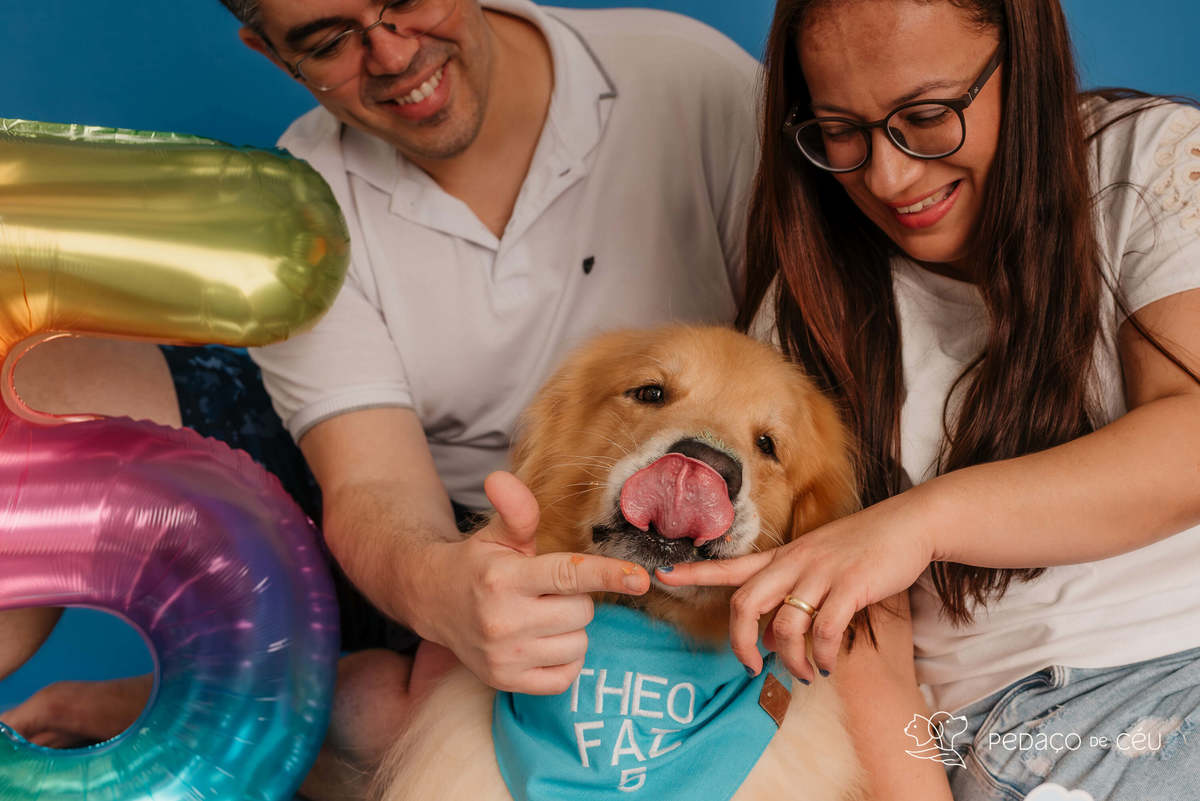 Smash the cake - Golden Retriever - Barra da tijuca