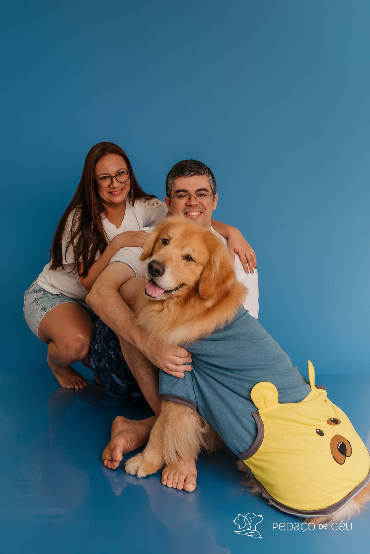 Smash the cake - Golden Retriever - Barra da tijuca