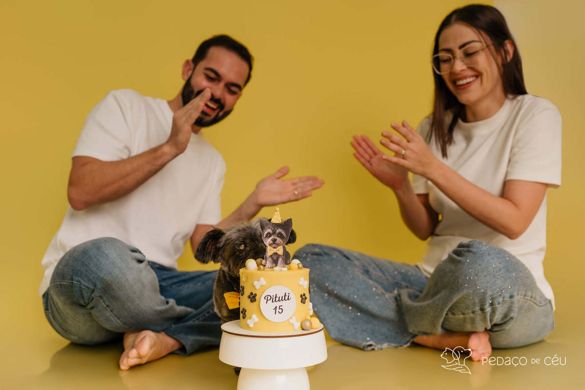 Shitzu - Smash the cake - Barra da tijuca