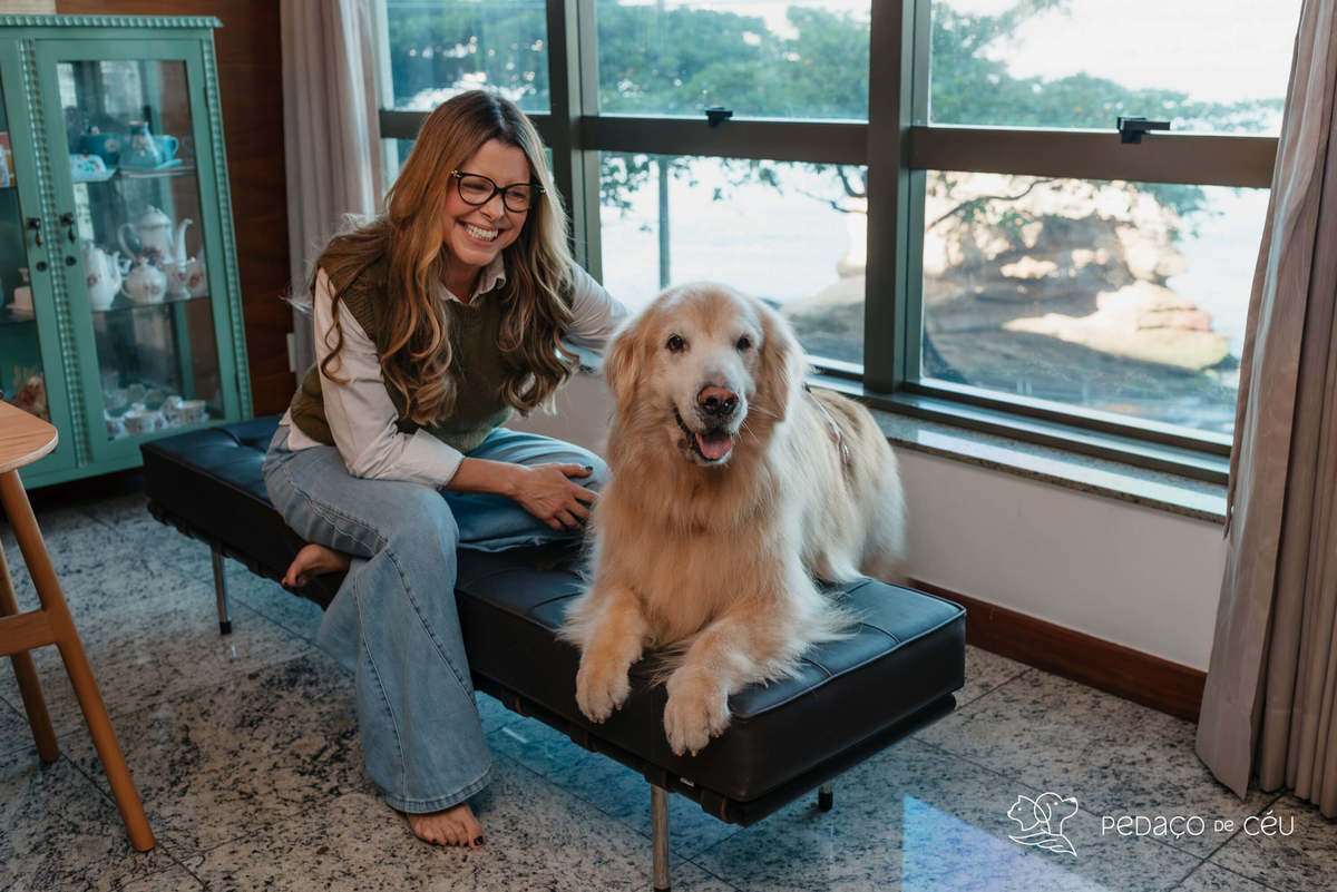 Ensaio pet externo - Golden Retriever - Niterói