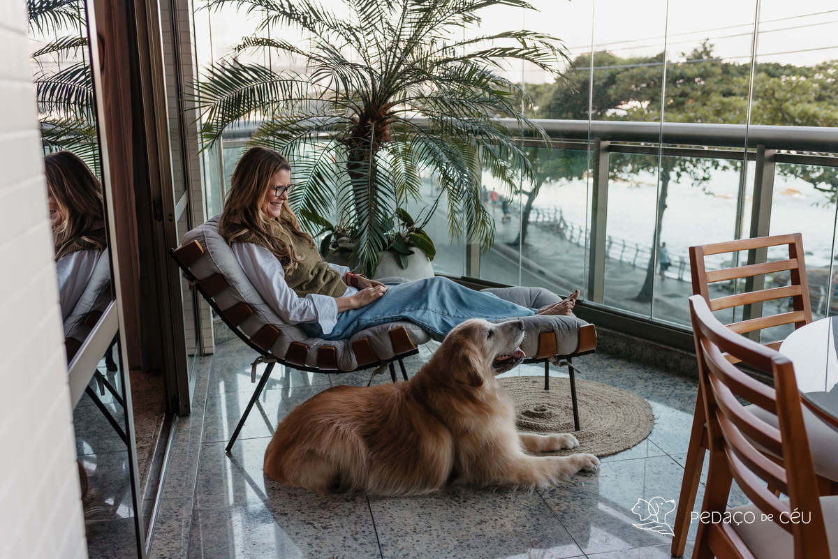 Ensaio pet externo - Golden Retriever - Niterói