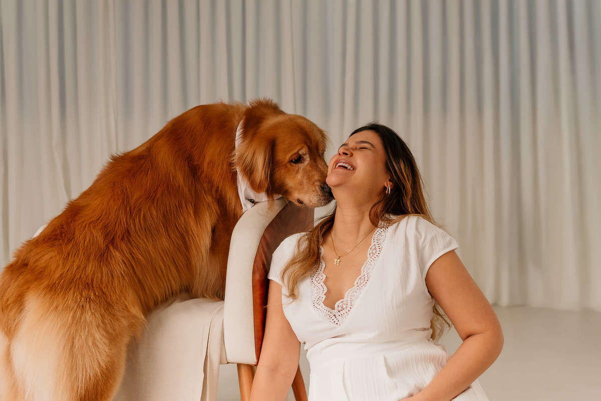 Ensaio Gestante com Pet: Matteo e a Espera pela Chegada do Davi - Rio de janeiro - golden retriever - Barra da Tijuca  - estudio pet