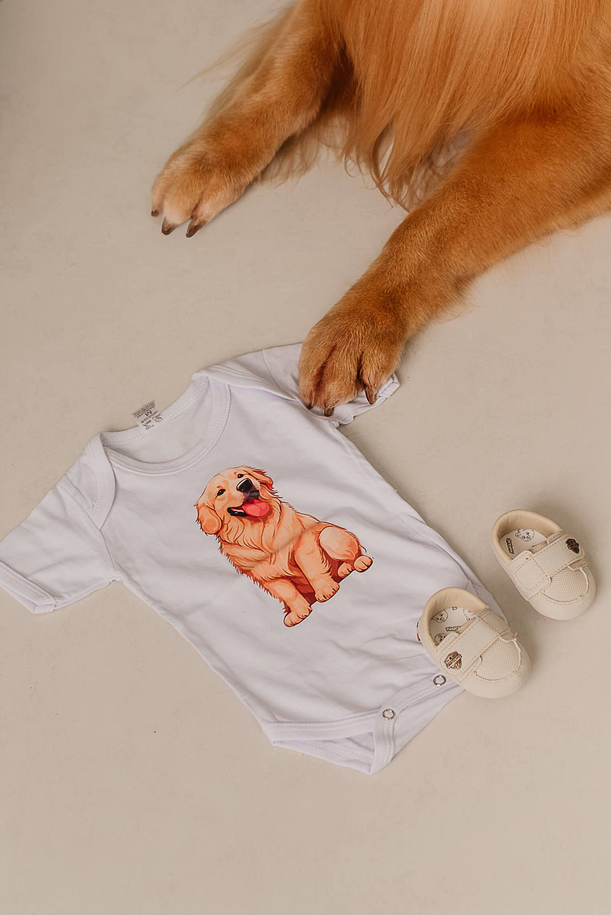 Ensaio Gestante com Pet: Matteo e a Espera pela Chegada do Davi - Rio de janeiro - golden retriever - Barra da Tijuca  - estudio pet