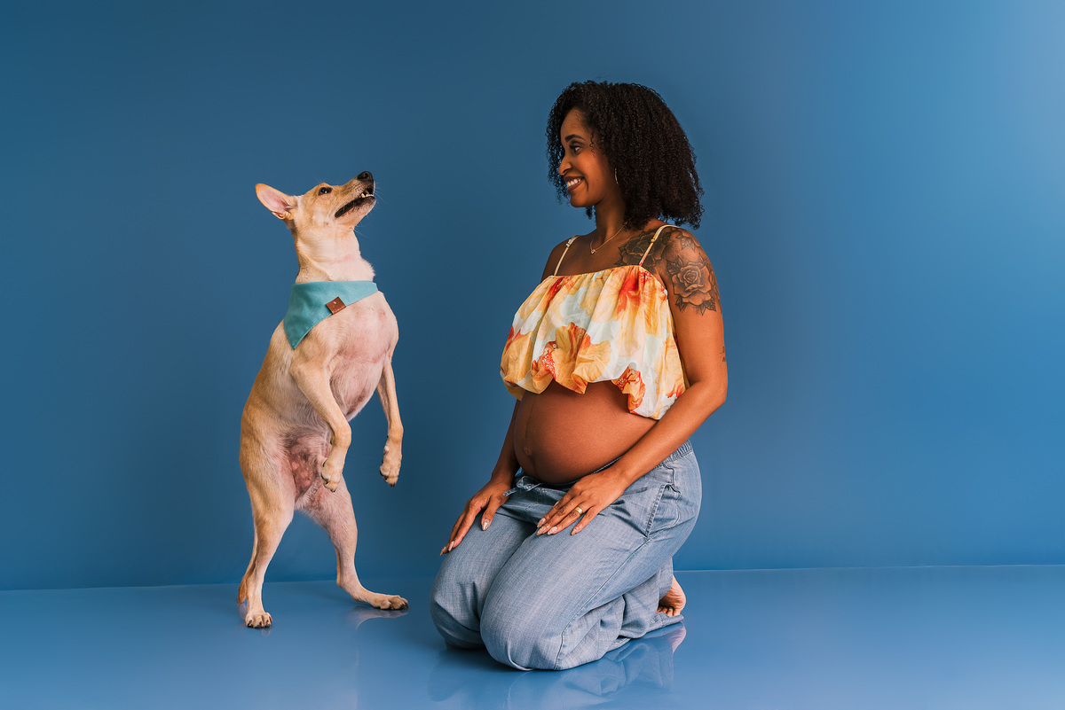 Ensaio Pet com Gestante: Pretinha, Sushi e Romeu à Espera do Novo Integrante da Família - SRD - Ensaio pet - Rio de janeiro - Barra da tijuca 