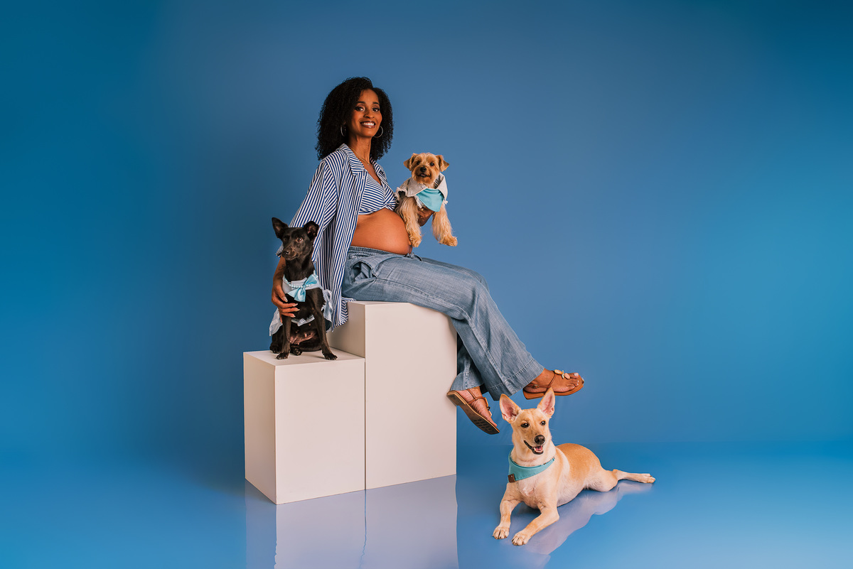 Ensaio Pet com Gestante: Pretinha, Sushi e Romeu à Espera do Novo Integrante da Família - SRD - Ensaio pet - Rio de janeiro - Barra da tijuca 