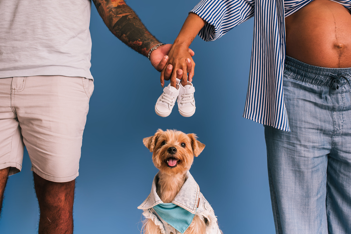 Ensaio Pet com Gestante: Pretinha, Sushi e Romeu à Espera do Novo Integrante da Família - SRD - Ensaio pet - Rio de janeiro - Barra da tijuca 