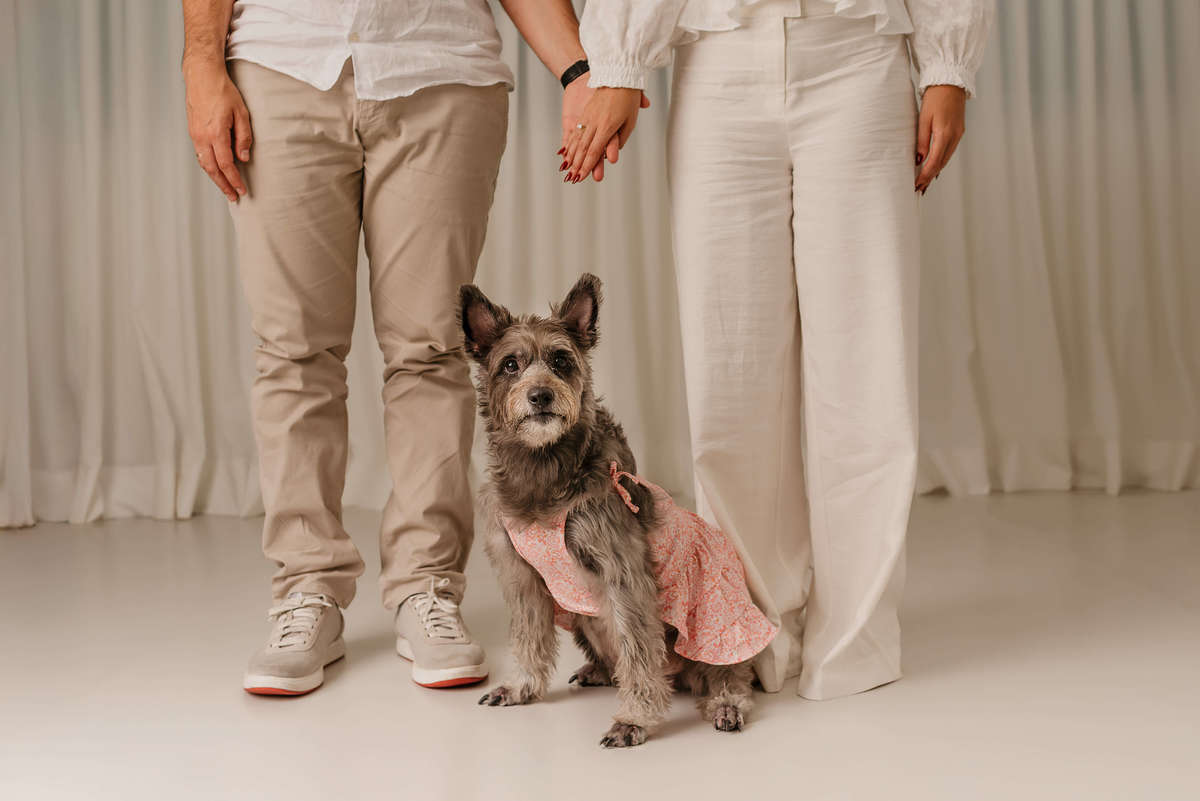 ensaio pet, fotografia pet, ensaio fotográfico pet, fotos com cachorro, ensaio pet em família, fotografia pet afetiva, ensaio com tutores, cachorro de 7 anos, ensaio pet Rio de Janeiro, fotógrafo pet RJ, estúdio pet Rio de Janeiro, fotos profissionais 