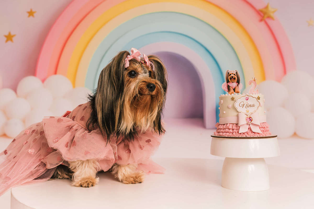 ensaio-cake-smash-nina-yorkshire-2-anos-rio-de-janeiro