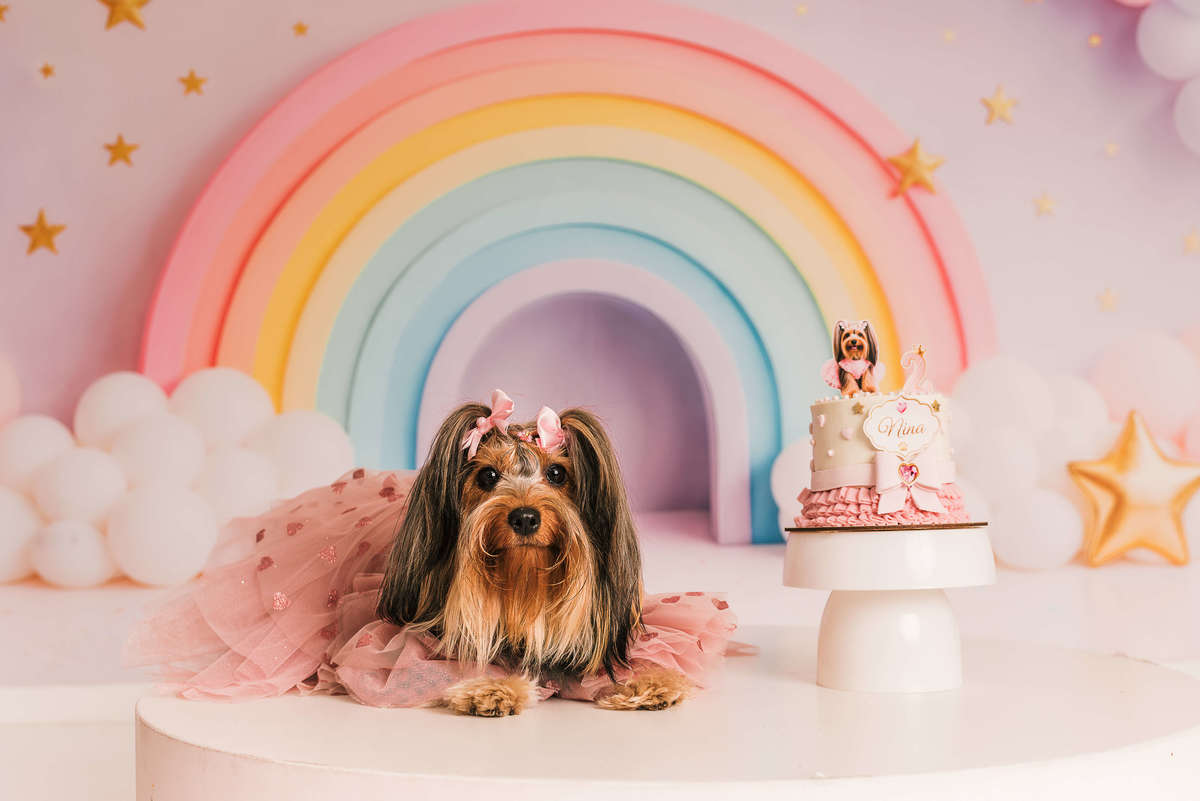 ensaio-cake-smash-nina-yorkshire-2-anos-rio-de-janeiro