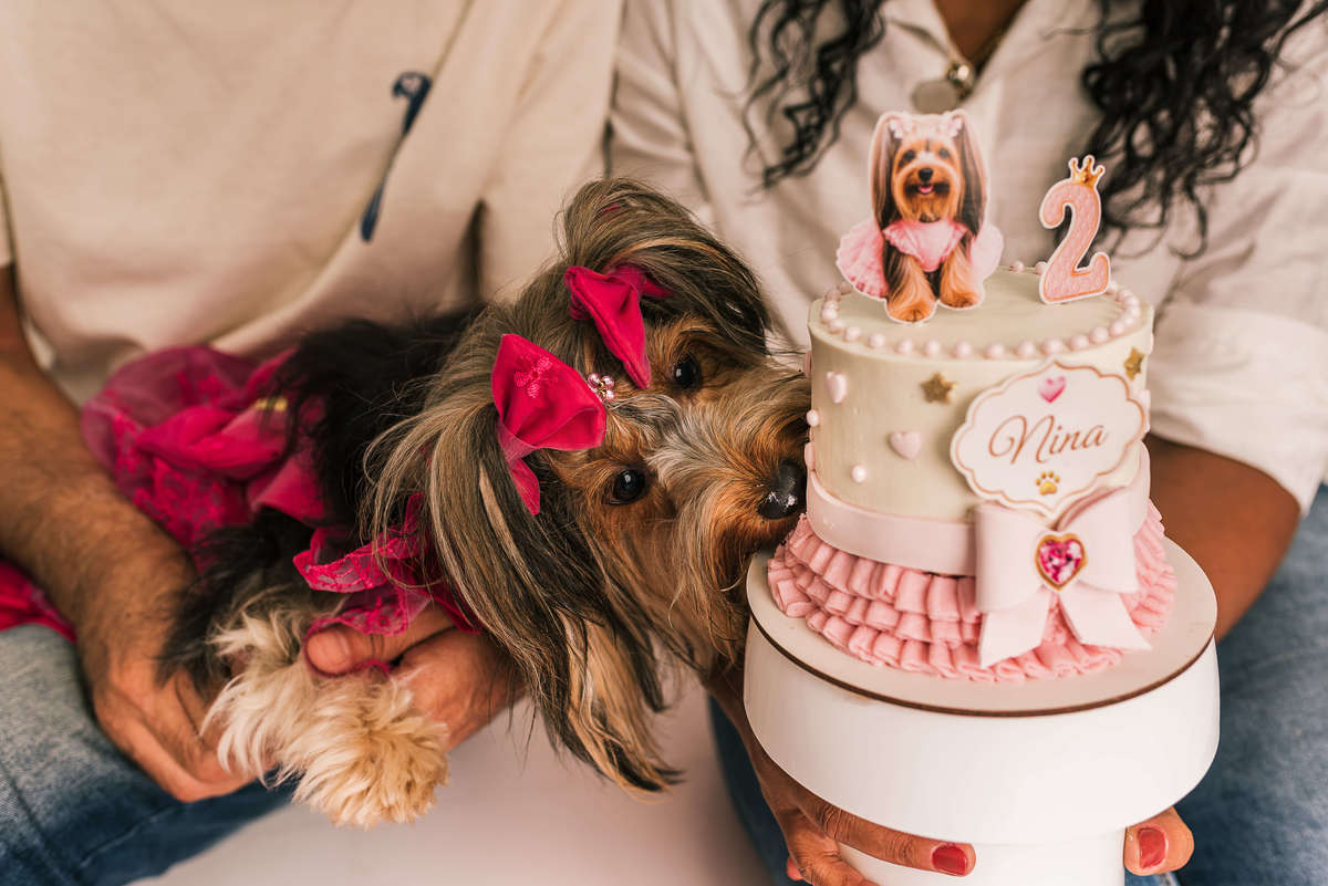 ensaio-cake-smash-nina-yorkshire-2-anos-rio-de-janeiro