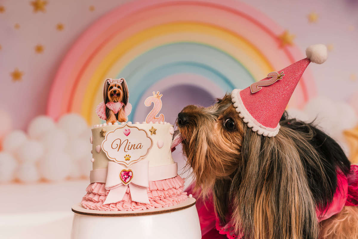 ensaio-cake-smash-nina-yorkshire-2-anos-rio-de-janeiro