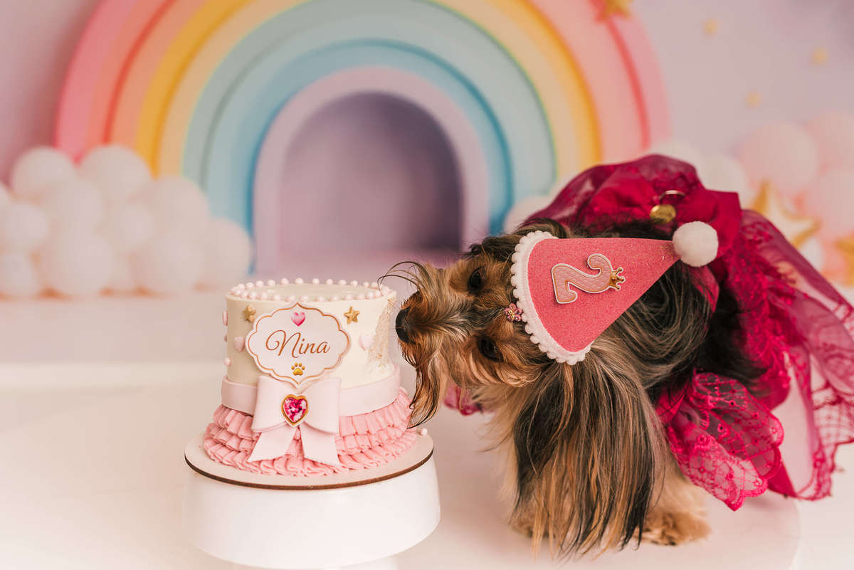 ensaio-cake-smash-nina-yorkshire-2-anos-rio-de-janeiro
