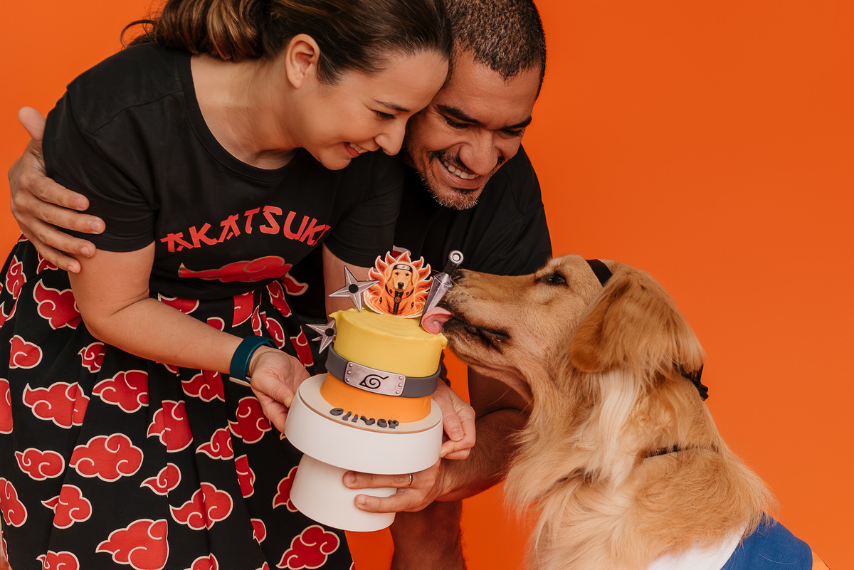 ensaio-cake-smash-oliver-golden-retriever-naruto-rio-de-janeiro