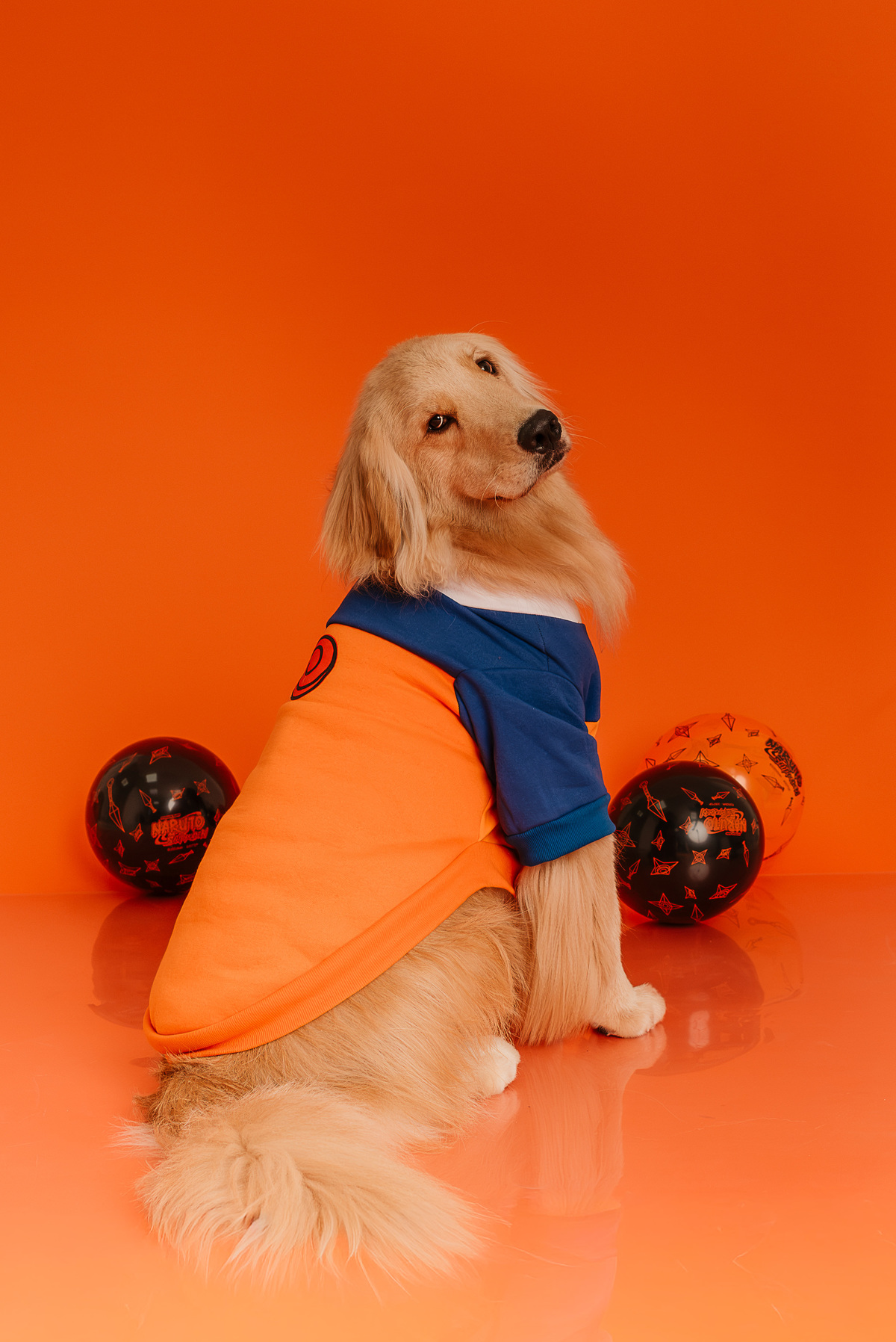 ensaio-cake-smash-oliver-golden-retriever-naruto-rio-de-janeiro