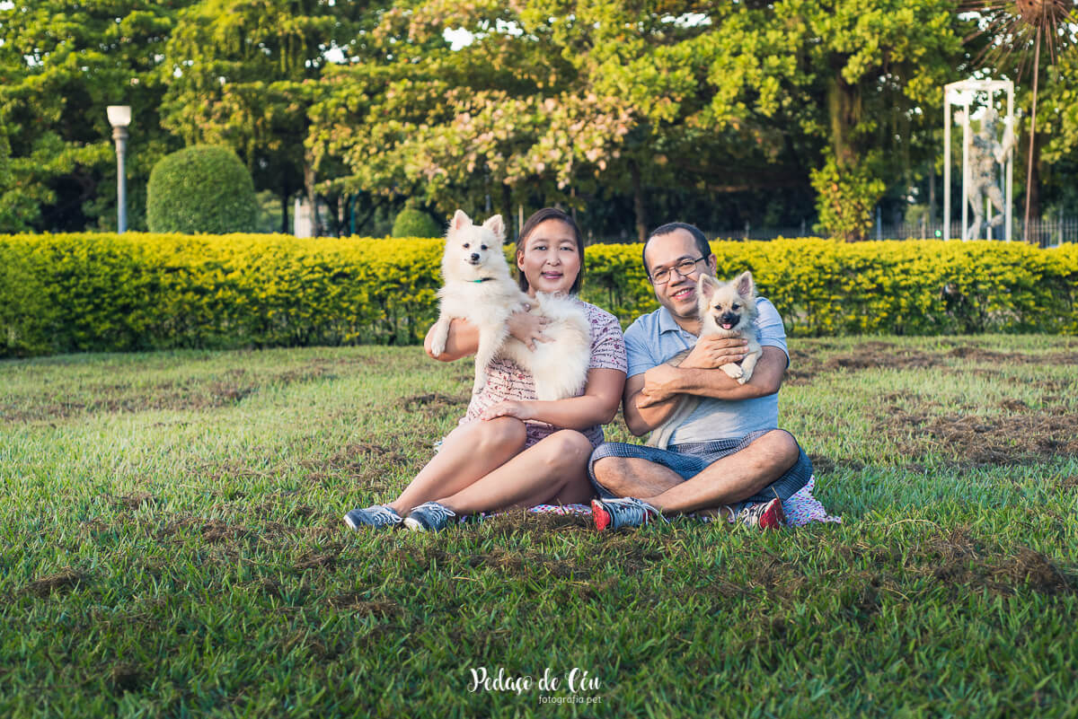 Ensaio Pet Família no parque