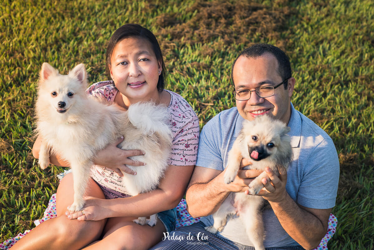 Ensaio Pet Família no parque