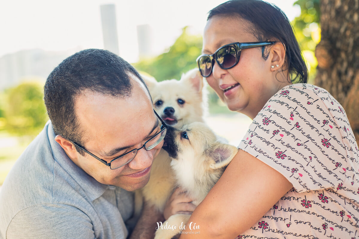 Ensaio Pet Família no parque