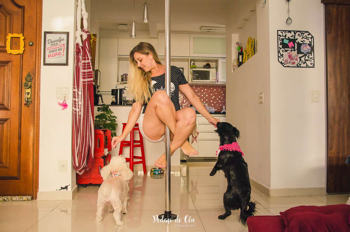 Ensaio pet pole dance