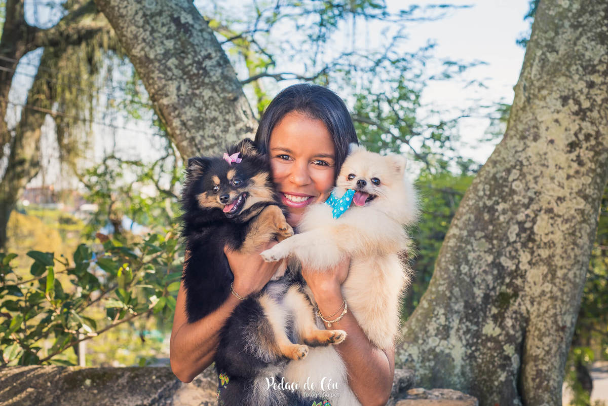 Ensaio pet família na quinta da boa vista rio de janeiro