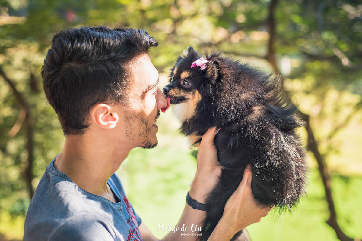 Ensaio pet família na quinta da boa vista rio de janeiro