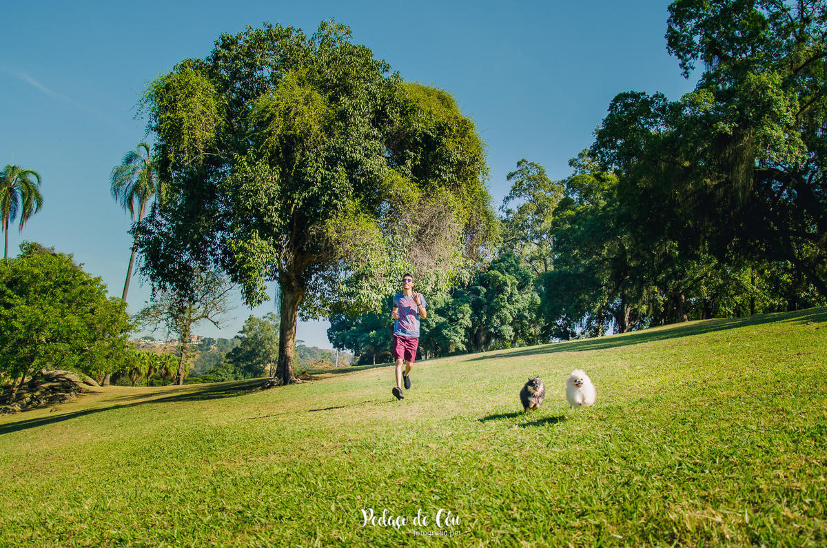Ensaio pet família na quinta da boa vista rio de janeiro