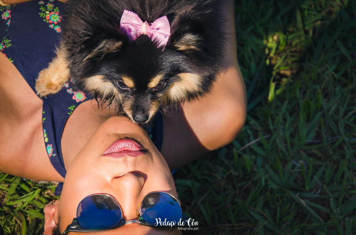 Ensaio pet família na quinta da boa vista rio de janeiro