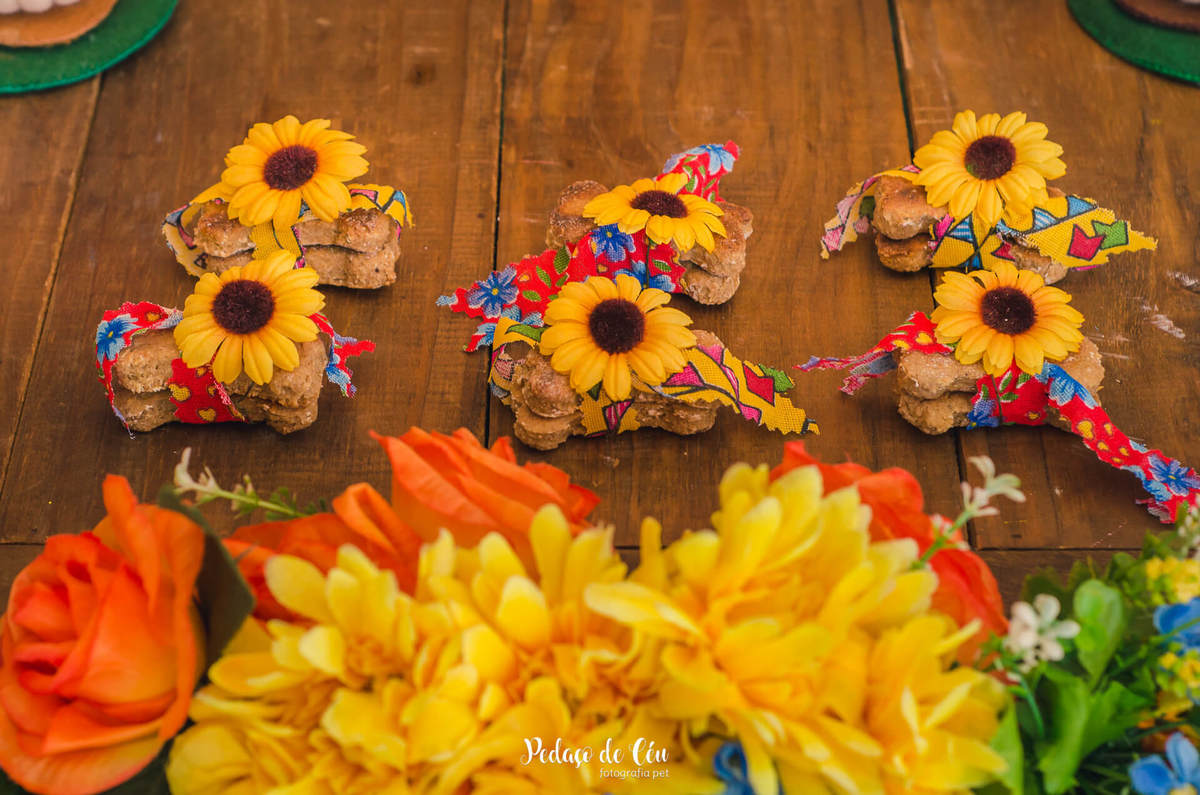 Festa pet aniversário 1 ano