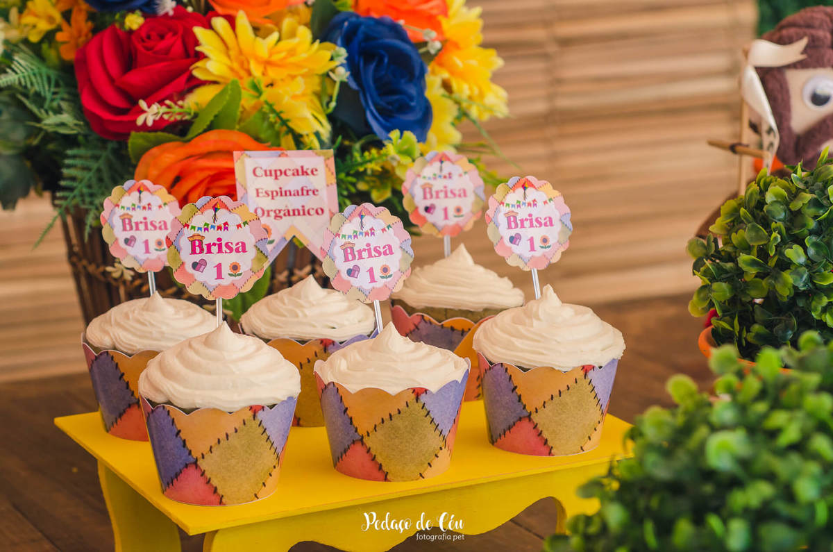 Festa pet aniversário 1 ano