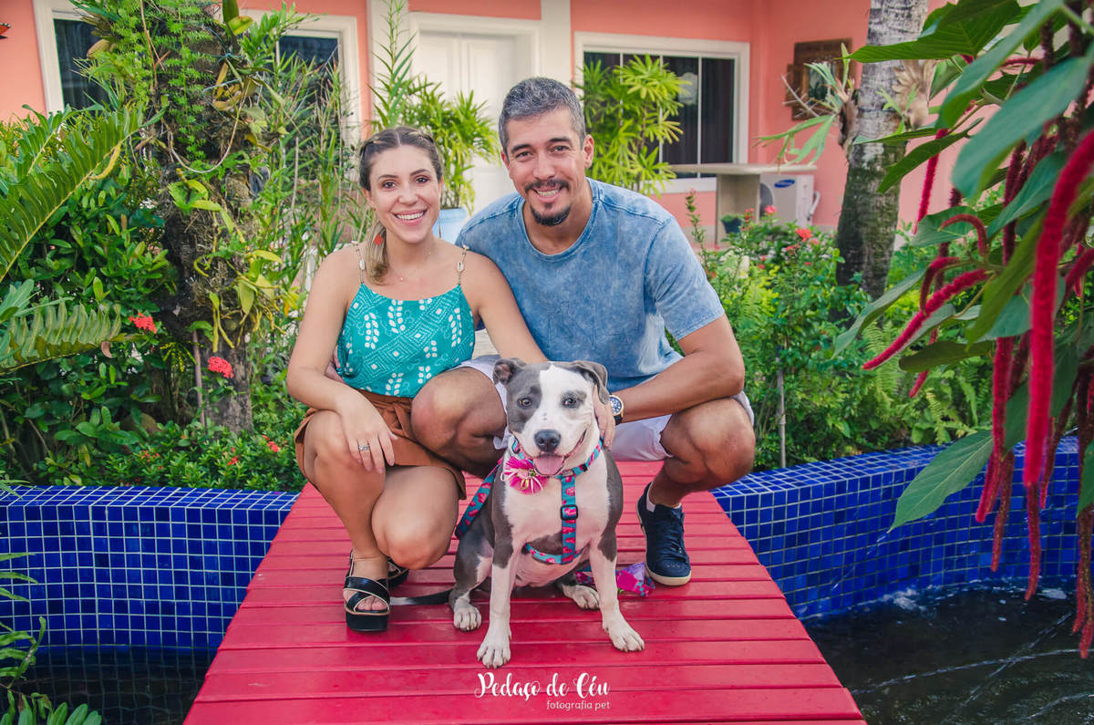 Festa pet aniversário 1 ano