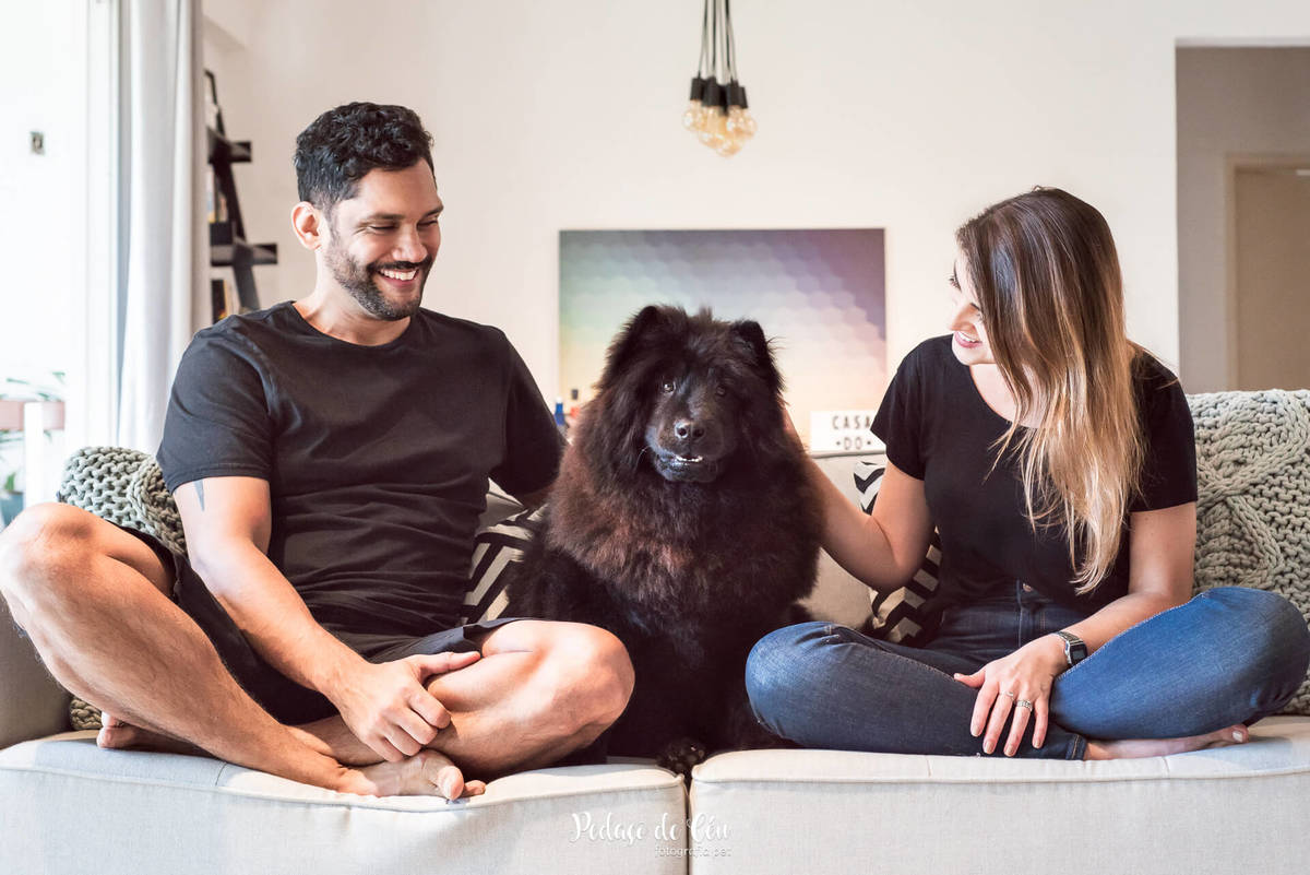 Ensaio pet indoor Lobo
