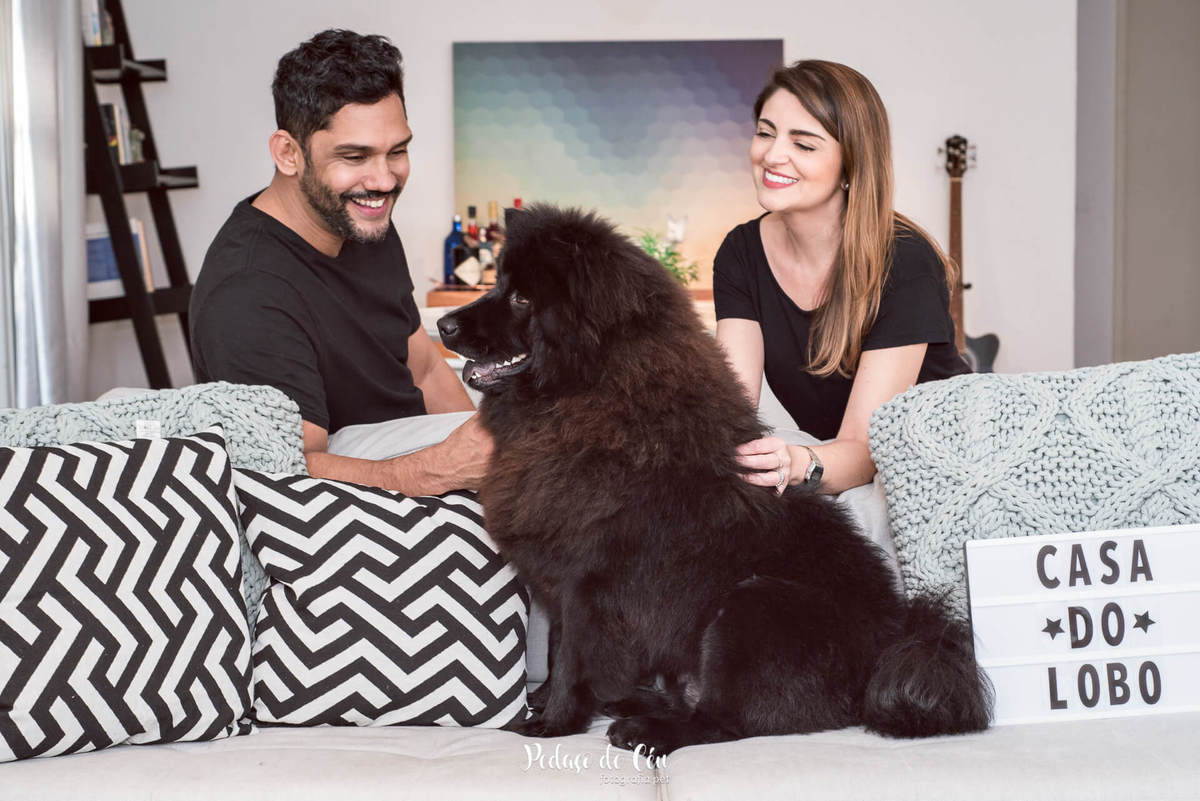 Ensaio pet indoor Lobo
